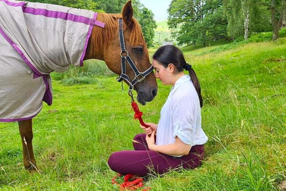 Meditation With Horses Session for One - Cumbria
