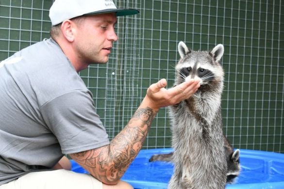 Meet the Animals For Two - Bristol