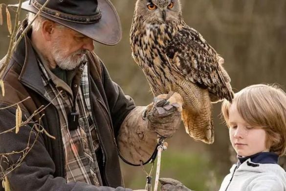 Owl Encounter In Leicestershire