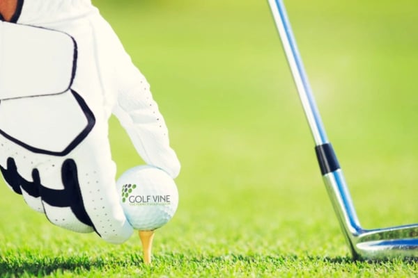 PGA Professional 60 Minute Golf Lesson For Two
