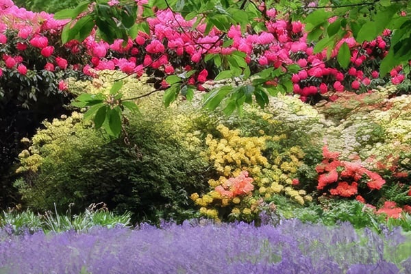 Swinton Estate Lunch and Garden Tour