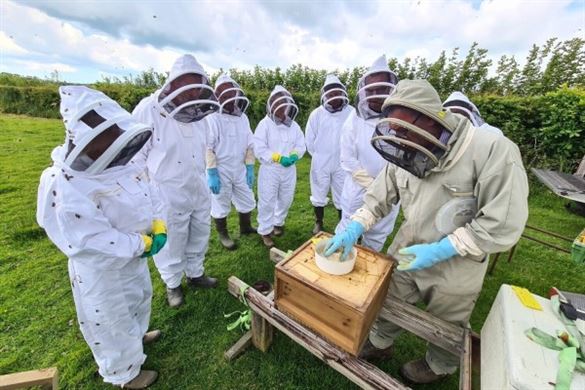 Beekeeping Exclusive Session for 2 - Devon