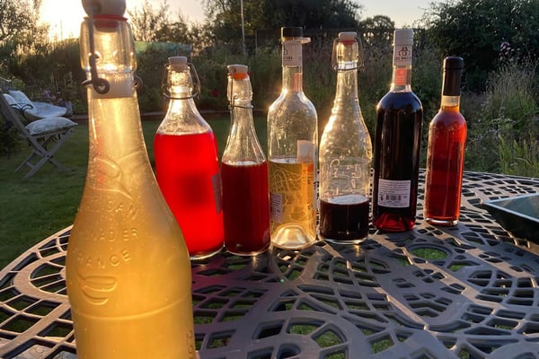 Wild Alcohol and Foraging Workshop