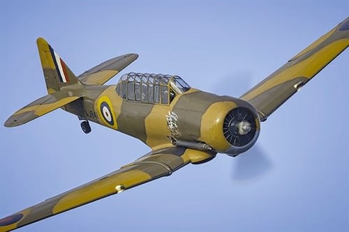 Wacky Wabbit Harvard Flights - Peterborough