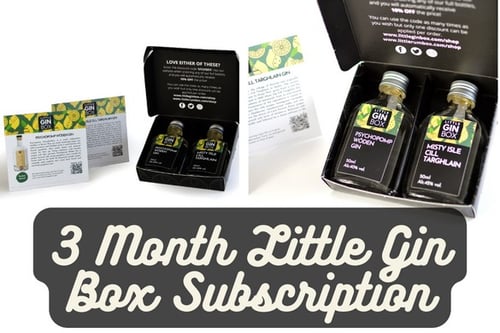 3 Month Little Gin Box Subscription