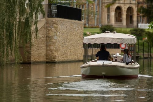 A Picnic Cruise on the River Thames (Child Under 12)