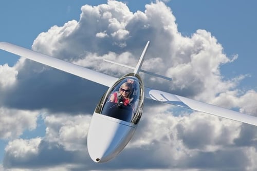 Bronze Essex Gliding Flight - Essex