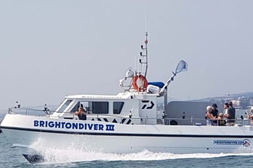 One Hour Chartered Boat Cruise - Brighton