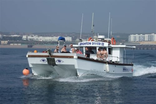 Full Day Sea Fishing - Brighton