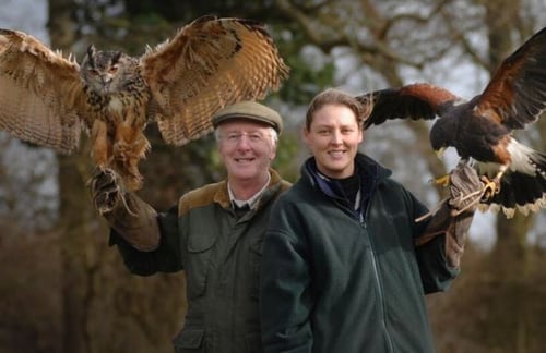 Half Day Falconry at Hatton Country World Warwickshire