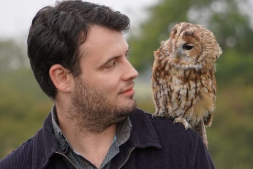 Half Day Falconry Experience - Leicestershire