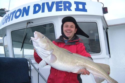 Half Day Sea Fishing - Brighton
