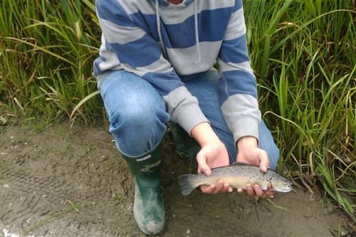 Introduction to Fly Fishing - Derbyshire