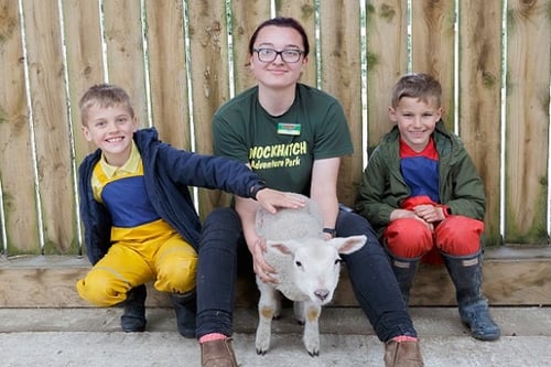 Junior Animal Keeper Experience for Four - East Sussex