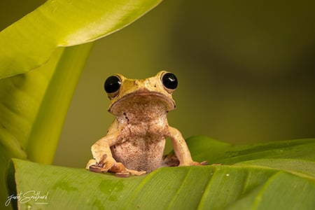 Full Day Macro Photography Workshop - Liverpool