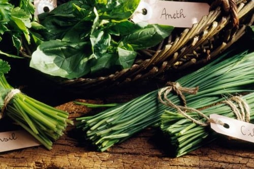 The Herb Garden Expert Option - At Home Experience