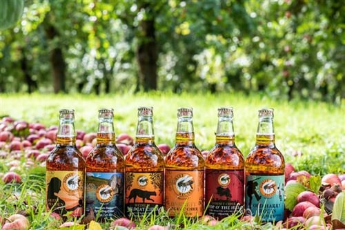 Cider Farm Tour and Tasting for Two