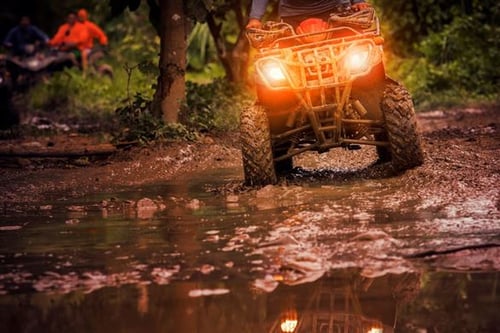 Two Hour Quad Bike Safari - Chichester