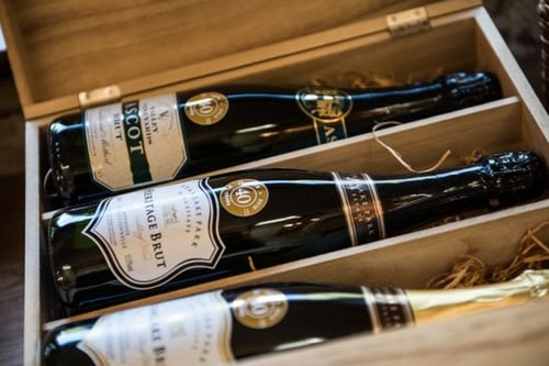 Vineyard Winery Tasting Tour for Two - Berkshire