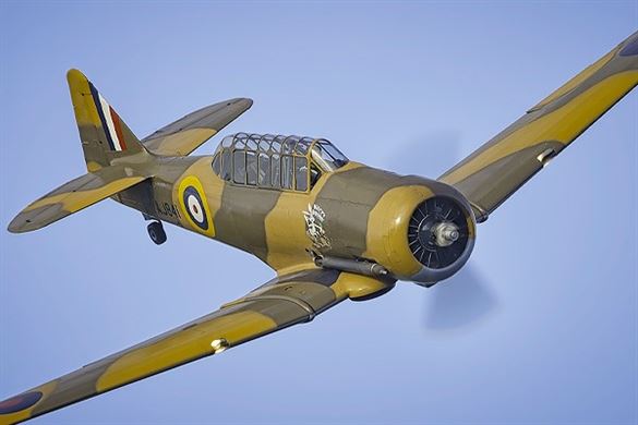 Wacky Wabbit Harvard Flights - Peterborough