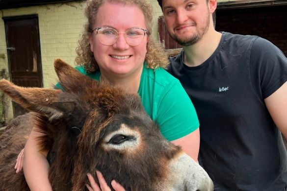 Animal Lovers: Two Animals Experience for Two