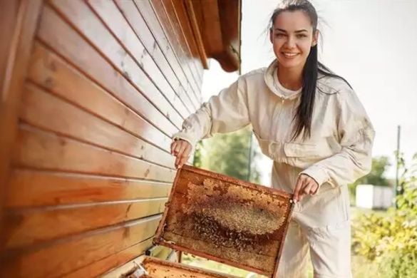 Beekeeper For A Day Experience for Two