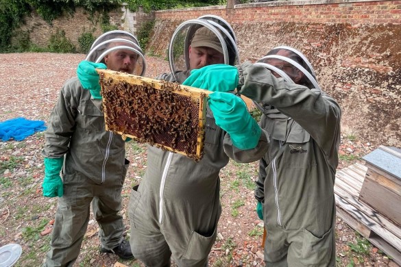 Beekeeping Experience with Lunch - Kent