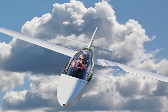 Bronze Essex Gliding Flight - Essex