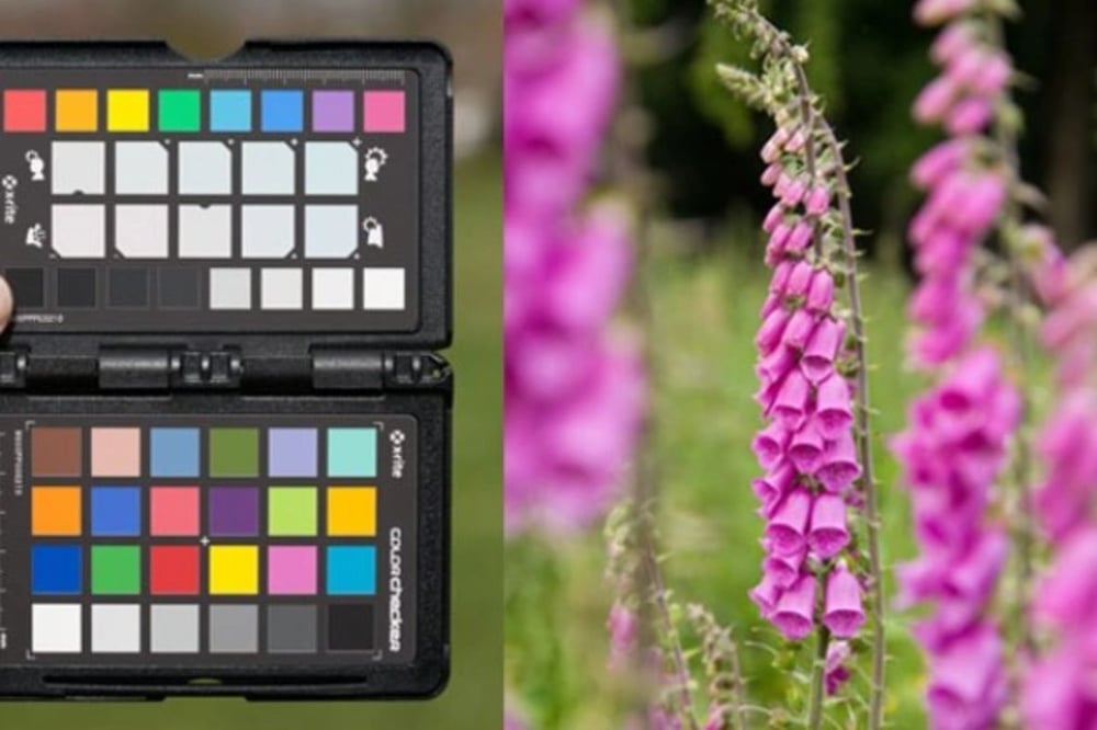 Full Day Private Flash Photography Course in Worcester
