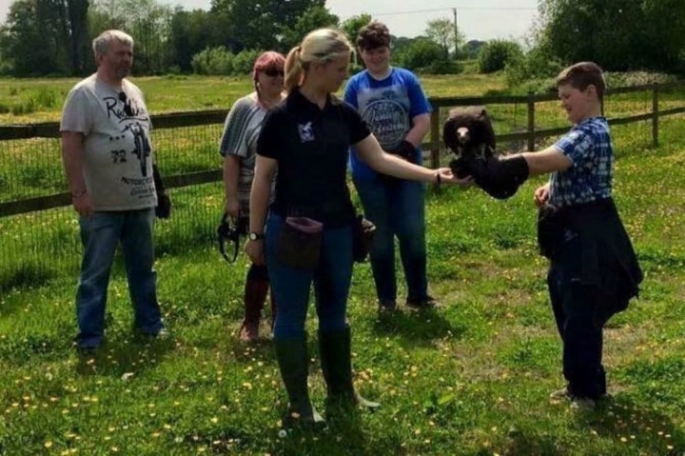 Half Day Falconry Experience Cheshire