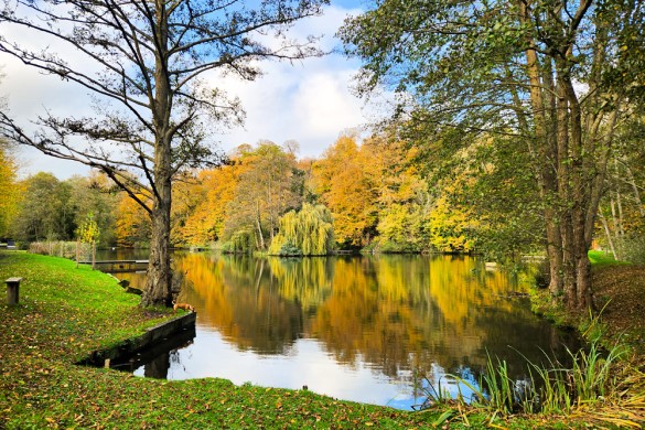 Half Day Fly Fishing - Surrey