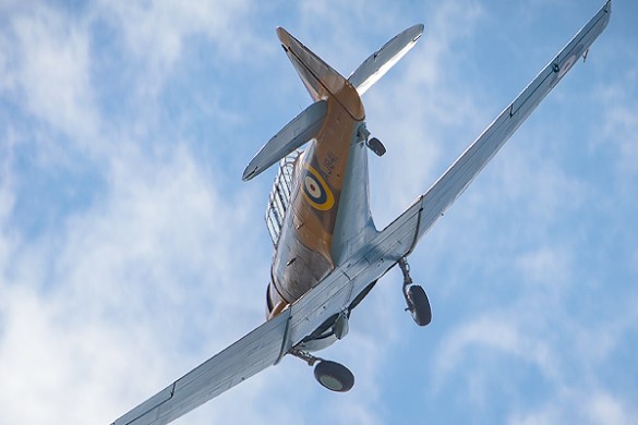 Harvard Warbird Aerobatics Experience