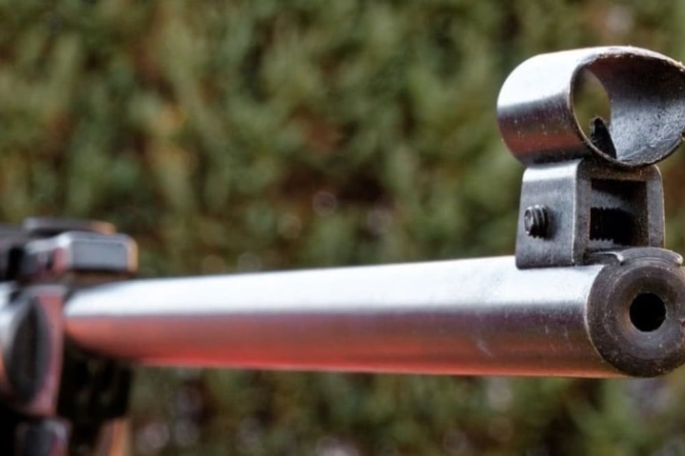 Hertfordshire Target Practice Shooting For Two