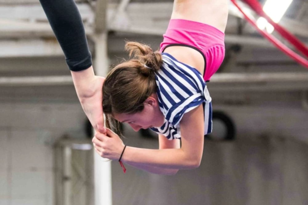 Intermediate to Advanced Aerial Class