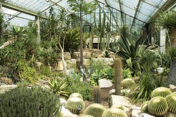 Kew Gardens and Palace Experience in London