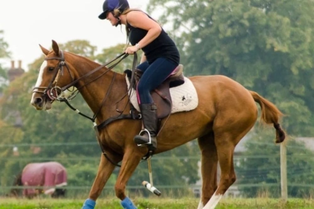 Hampshire Learn To Play Polo Experience Day