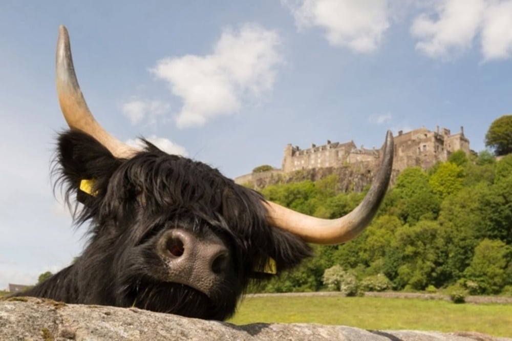 Loch Lomond Stirling Castle And The Kelpies Tour
