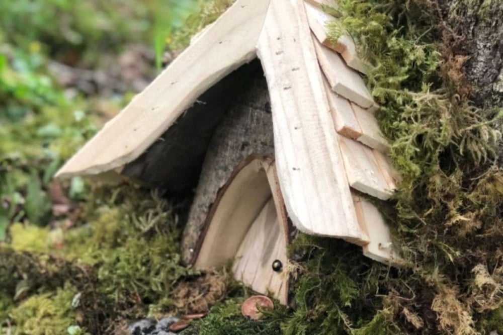 Loch Lomond Faerie Trail (Adult Ticket)