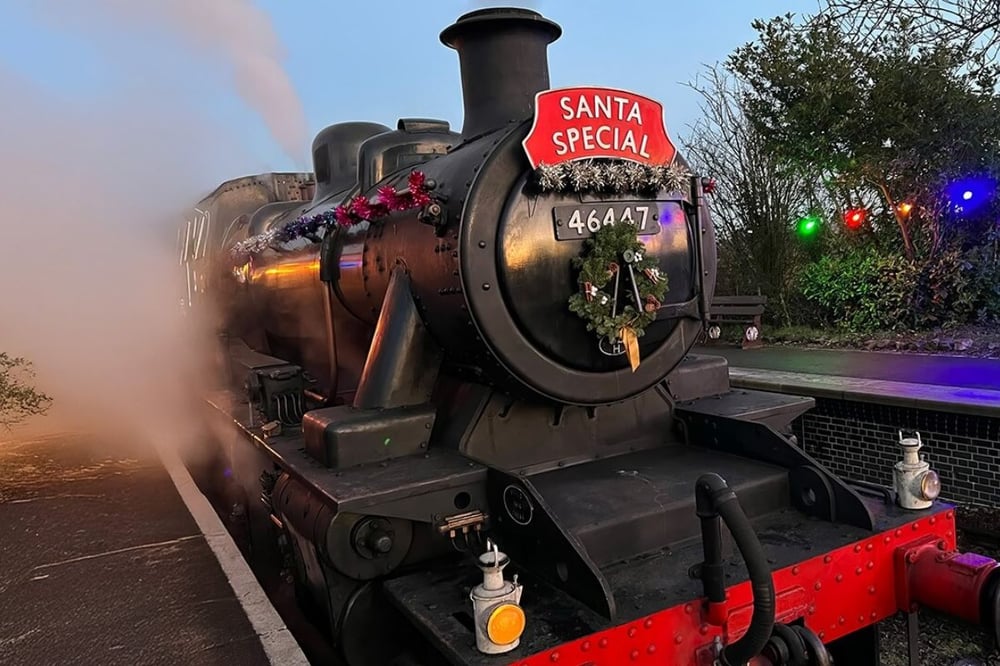 Santa Paws' Steam Train Experience (Adult Ticket 18+)