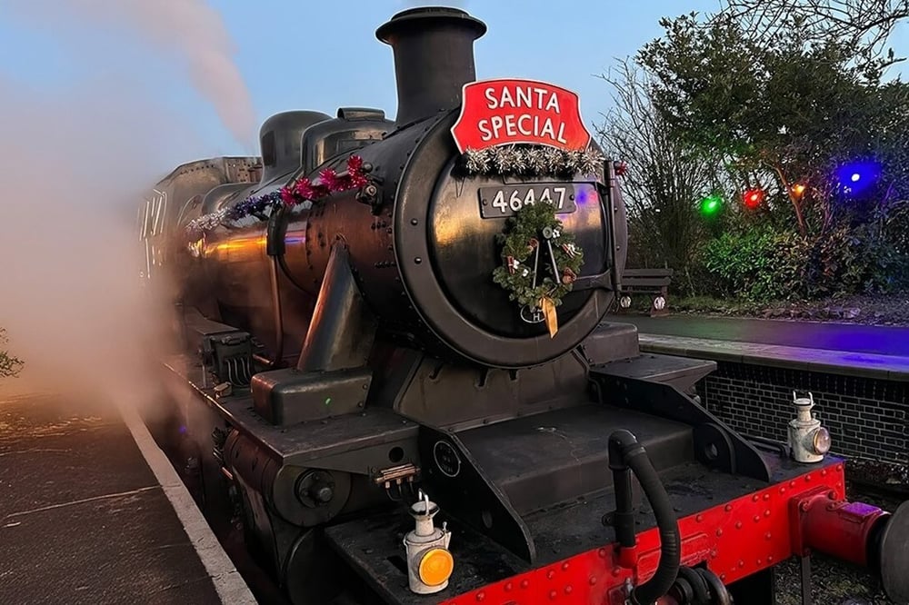 Santa Paws' Steam Train Experience (Adult Ticket 18+)