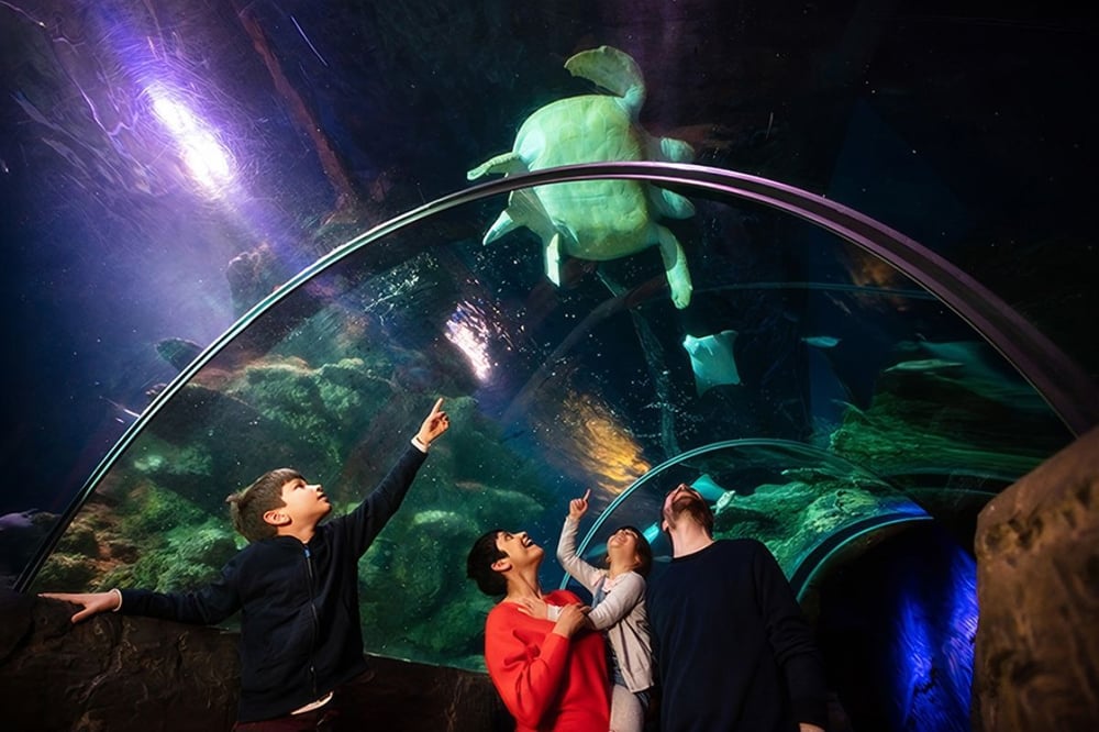 SEA LIFE London Aquarium Tickets with Meal for Two