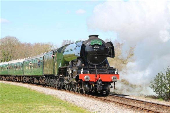 Sea Train Adventure (Adult) - Dorset
