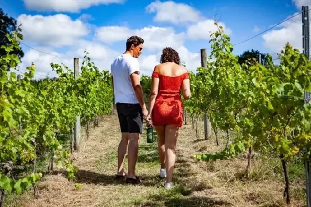 Sedlescombe Organic Vineyard Tour and Tasting