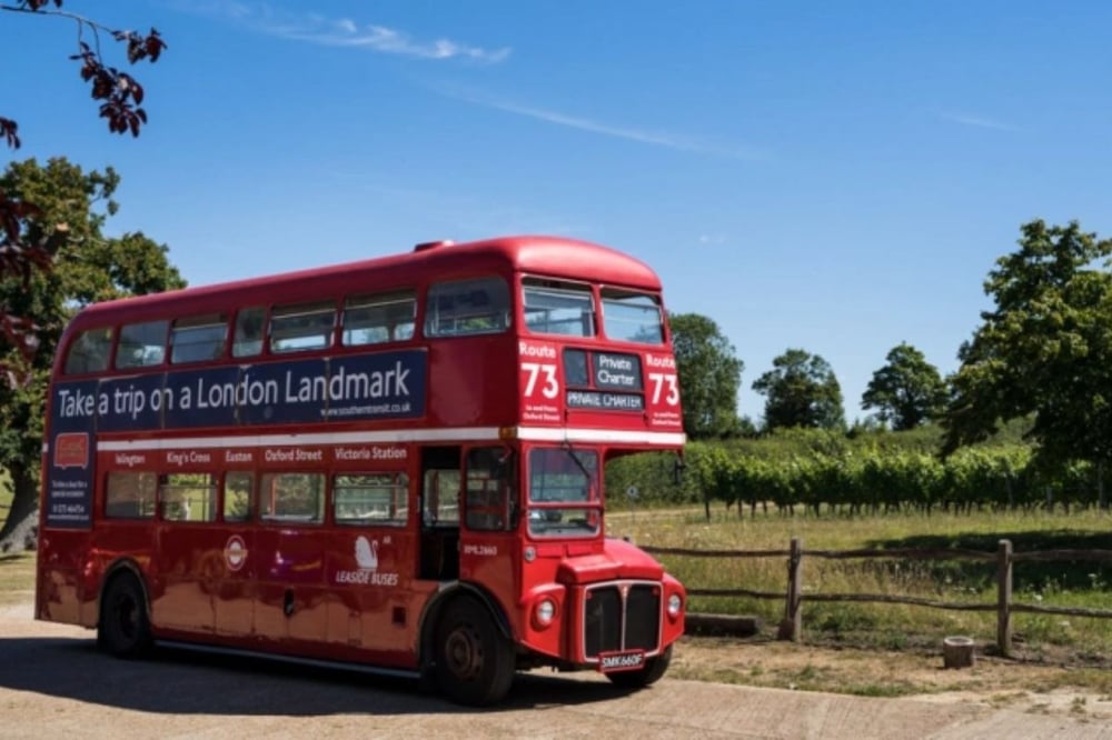 Sussex Vintage Bus Vineyard and Winery Tour from Brighton