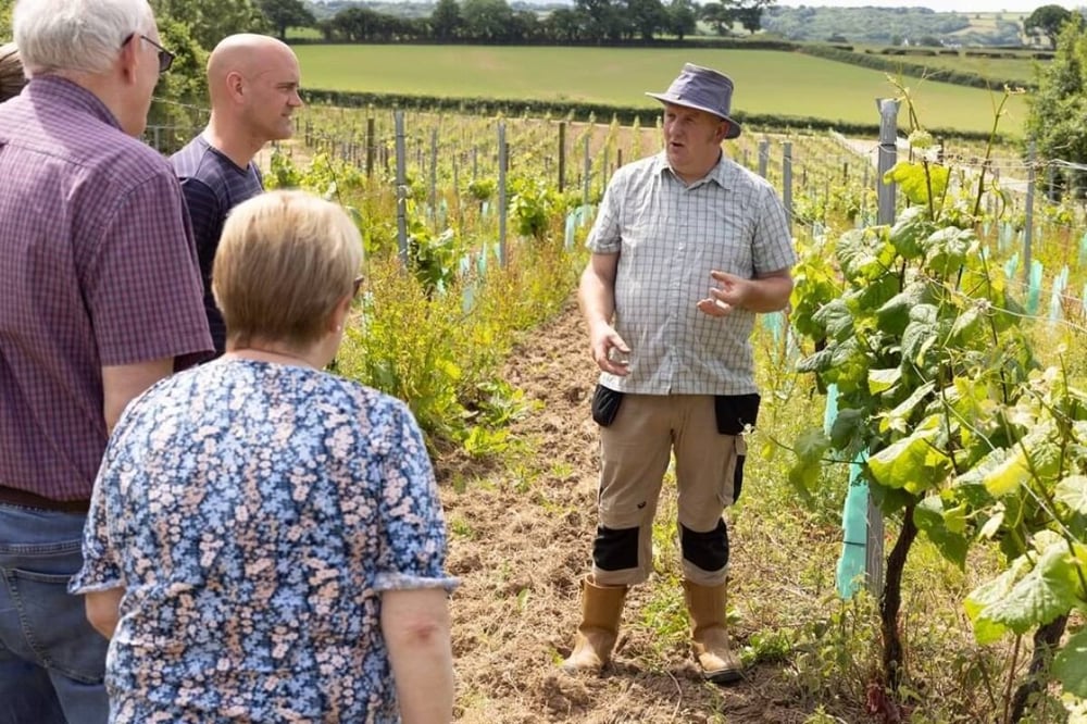 Torview Vineyards Tour and Wine Tasting for Two