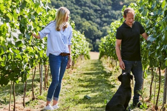 Vineyard Tour, Wine and Cider Tasting and Meal for Two