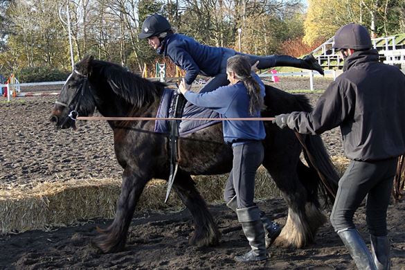 Trick Riding Experience - Warwickshire 