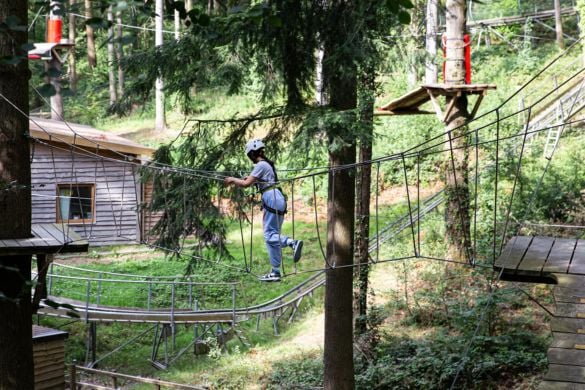 Zip World Safari High Ropes Course