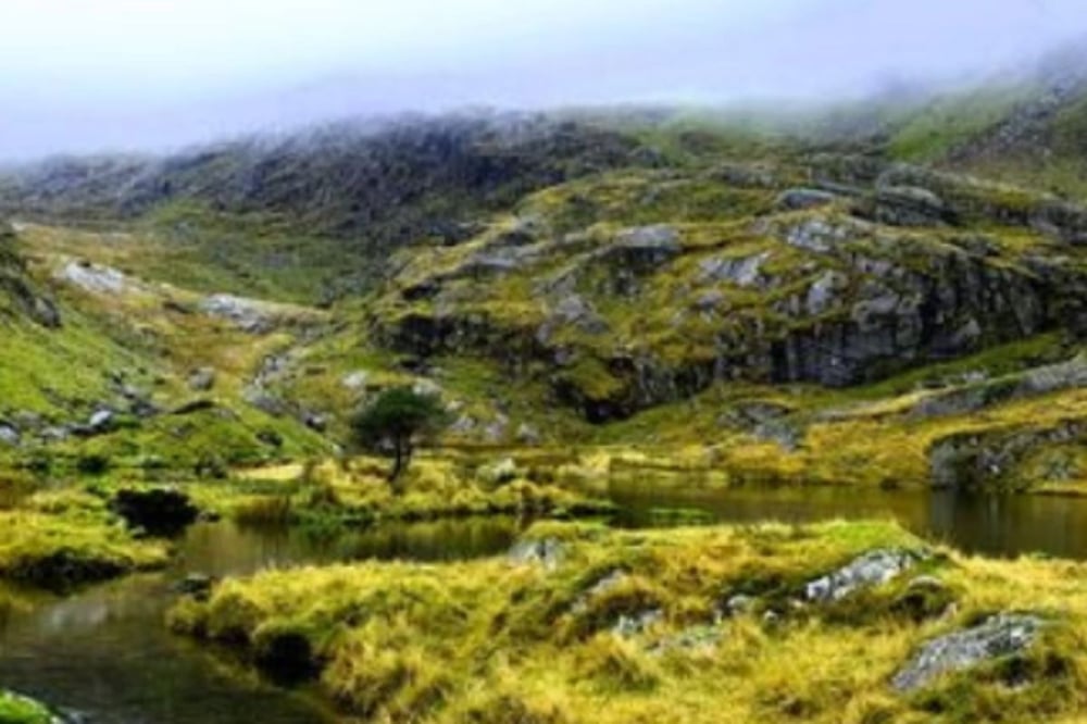 Zip Wire For 2 In South Glamorgan