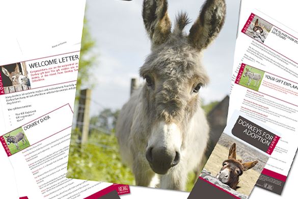 Adopt an Animal Experiences